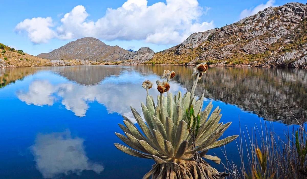 Paisaje de Matanza